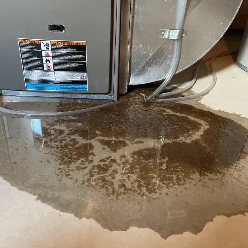 Appliance Leak Cleanup in Rockwall, TX